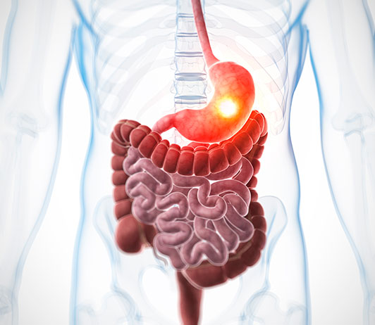 Aparato Digestivo y Endoscopias