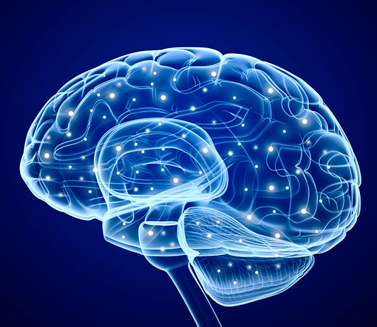 Neurofisiología