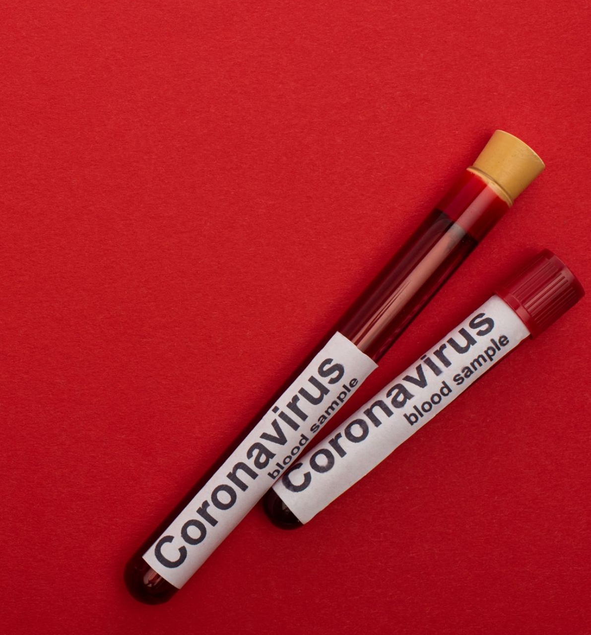 Alertas y datos diarios