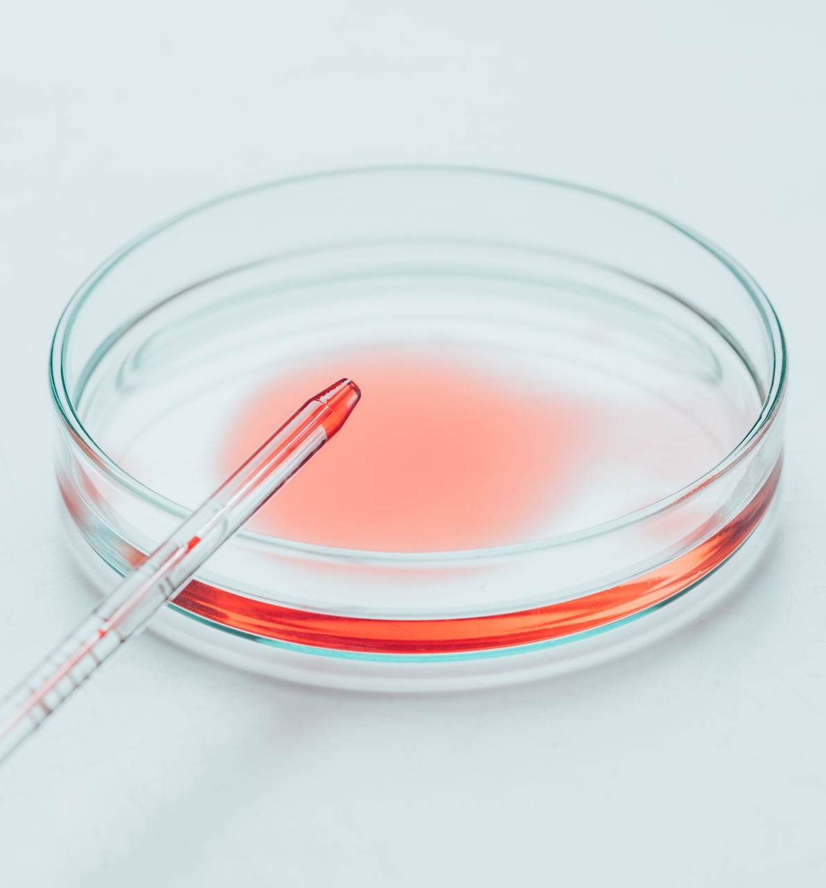 Preguntas y respuestas Covid-19