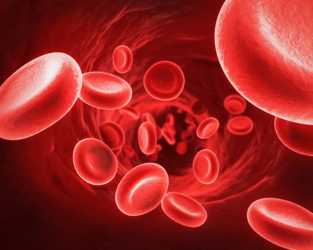 Día Mundial del Donante de Sangre