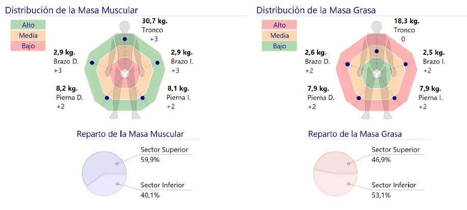 Distribución de la masa muscular y de la masa grasa