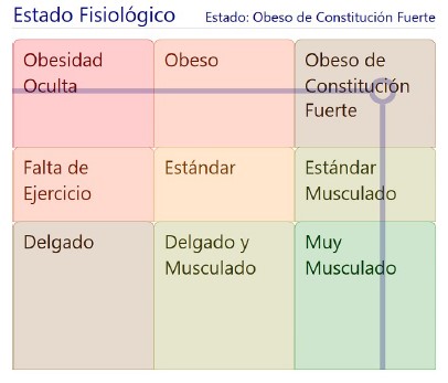 Relación entre grasa y músculo en el estudio de la obesidad.