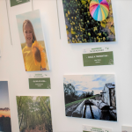 Hasta el próximo mes de junio, el Aula de Medio Ambiente de la Fundación Caja Burgos en Valladolid (Acera Recoletos, 20) acoge las 24 fotografías ganadoras del I Concurso de Medio Ambiente organizado por Recoletas bajo el título “Más Salud, mejor planeta”.